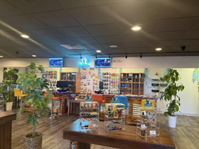 The Skunkies sales floor: display cases and shelved product under warm light, with plants either side of the counter.